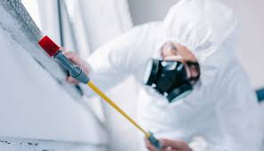 Best Pest Exclusion Services  in Schererville, IN